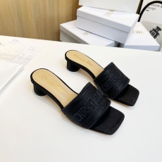 Christian Dior Slippers